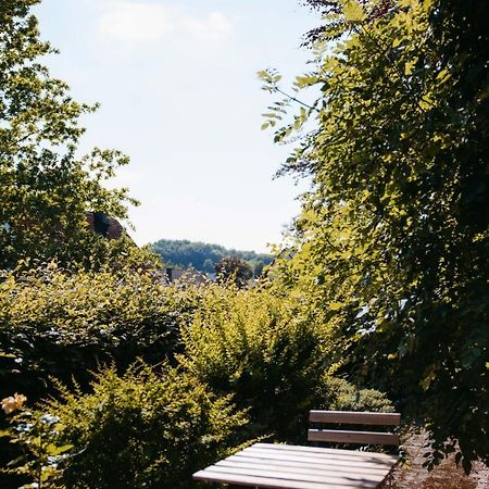 Ferienwohnung Kurpark Brilon Am Rothaarsteig Dış mekan fotoğraf